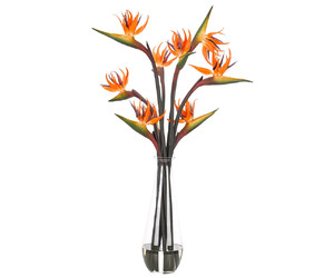 Цветы Bird Of Paradise, оранжевые в стеклянной вазе