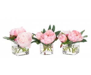 Цветы Peony, розовые в стеклянном кубе, Сет из 3