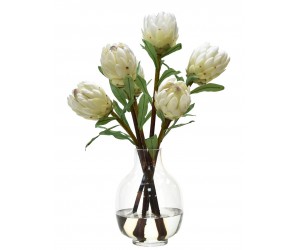 Цветы Protea, белые в стеклянной вазе