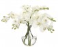 Цветы ORCHID PHALAENOPSIS, CREAM WHITE в стеклянной вазе