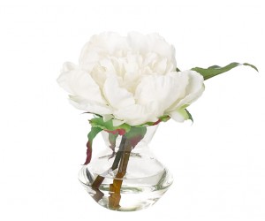 Цветы PEONY, белые в стеклянной вазе