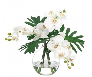 Цветы ORCHID PHALAENOPSIS, WHITE, в стеклянной вазе