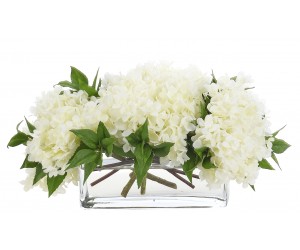 Цветы HYDRANGEA, белые в стеклянной вазе