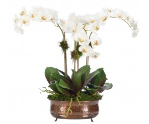 Цветы ORCHID PHALAENOPSIS, белые в металлической вазе