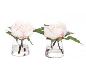 Цветы PEONY/SET OF 2, WHITE PINK, IN GLASS PYRAMID