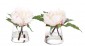 Цветы PEONY/SET OF 2, WHITE PINK, IN GLASS PYRAMID