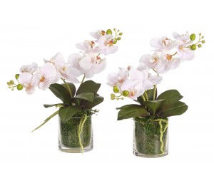 Цветы ORCHID PHALAENOPSIS, SET OF 2, PINK, GLASS