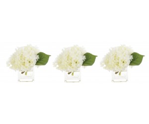 Цветы HYDRANGEA/SET OF 3, WHITE, GLASS CUBE