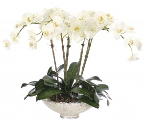 Цветы ORCHID PHALAENOPSIS, CREAM WHITE GLASS BOWL