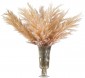 Цветы PAMPAS GRASS, CREAM, GLASS VASE