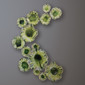 Декор настенный Free Formed Lily Plate-Green-Sm