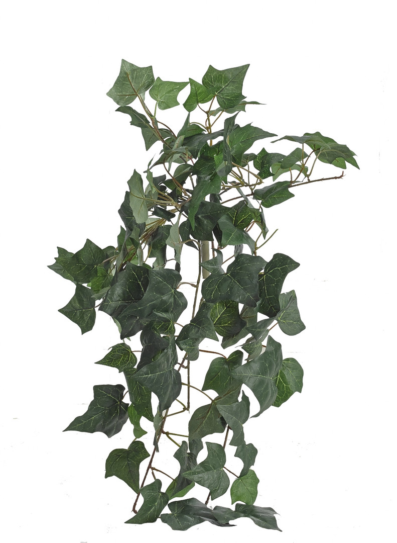 Ботаническая копия Ivy Bush