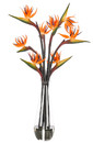 Цветы Bird Of Paradise Оранжевые в стеклянной вазе