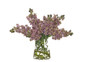 Цветочная композиция Lilac