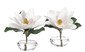 Цветы MAGNOLIA/SET OF 2, белые в стеклянной вазе