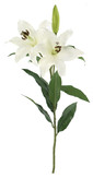 Ботаническая копия Casablanca Lily