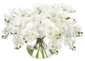 Цветочная композиция ORCHID PHALAENOPSIS, WHITE