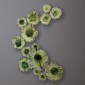 Декор настенный Free Formed Lily Plate-Green-Lg
