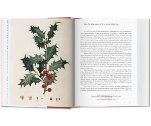 Книга A Garden Eden: Masterpieces of Botanical Illustration