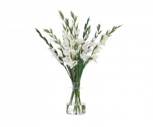 Цветы Gladiola Белые в стеклянной вазе