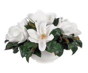 Цветы Magnolia Белые в керамической чаше