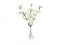 Цветы Lily Turban Белые в стеклянной вазе