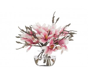 Цветы Magnolia Розовые в стеклянной вазе