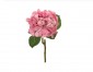 Букет Hydrangea розовый | Букет из 30 шт