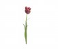 Цветок Tulip пурпурный | Box of 12