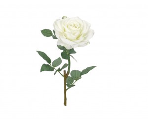 Цветок Rose Белая | Box of 12