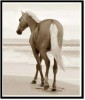 Постер Newmarket Horses NMH2/615/24