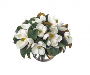 Цветы Magnoliia, белые в стеклянном шаре