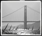 Постер Golden Gate Sailing, Contemporary Chrome 429