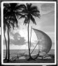 Постер Tropical Catamaran, Contemporary Chrome 429