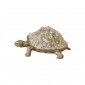 Статуэтка Rocky Turtle