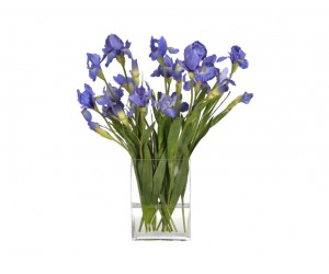 Цветы Iris голубые в стеклянной прямоугольной вазе
