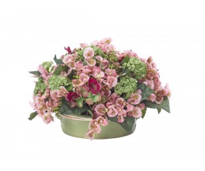 Цветы Hydrangea Snowball зелено-розовые в керамической чаше