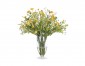 Цветы Daisy желто-белые в стеклянной вазе