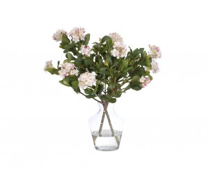 Цветы Rhododendron розово-кремовые в стеклянной вазе