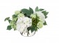 Цветы Hydrangea Rose, бело-зеленые в стеклянной вазе